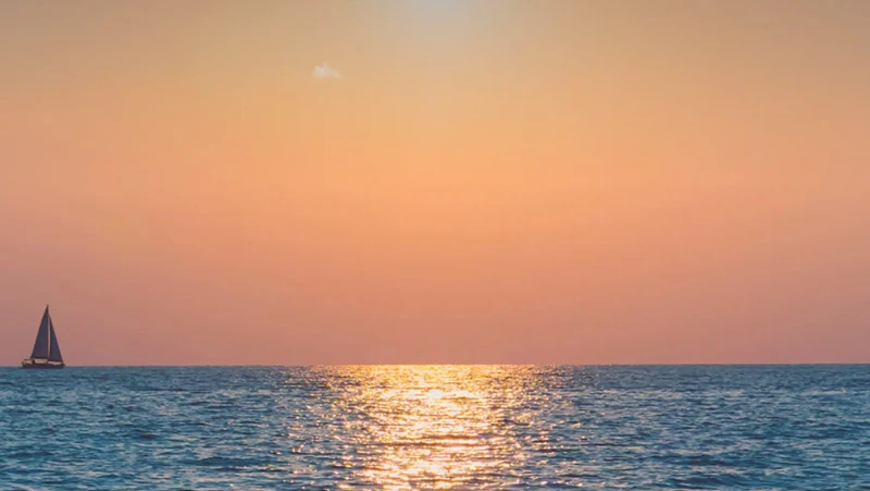 blue carbon solar energy