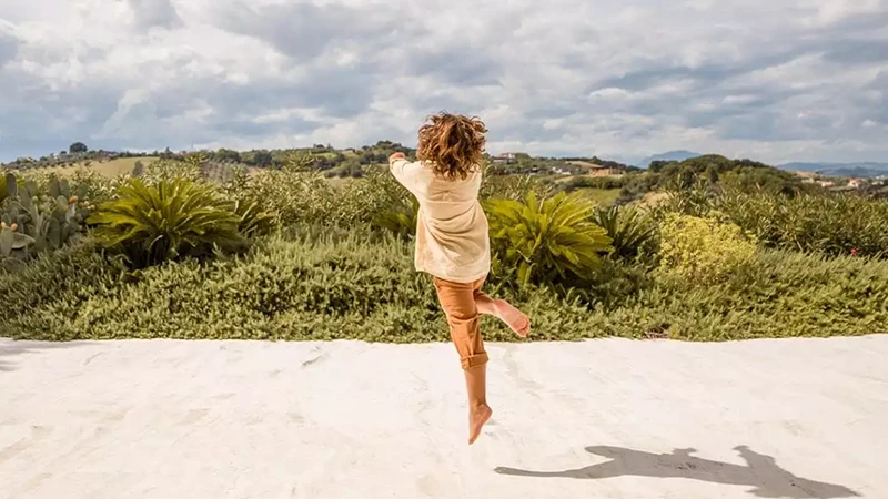 Fronius International USA