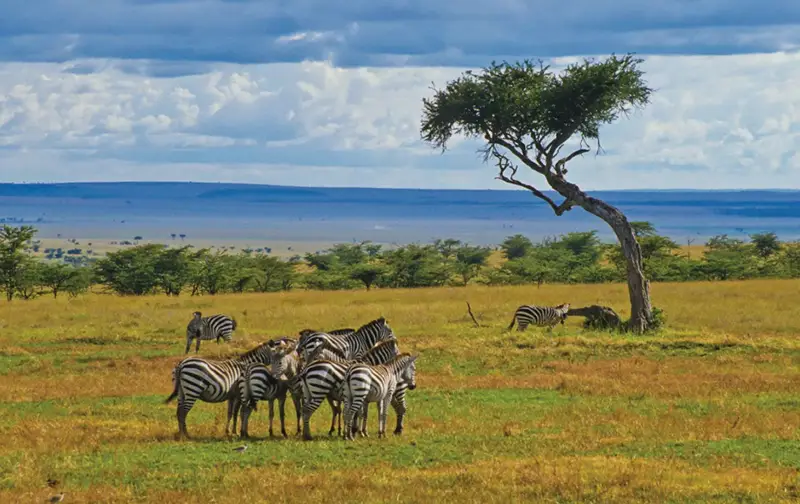 The Top 10 Best Lithium Solar Battery Brands in Kenya