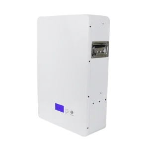 51.2v 100ah Lithium Battery 5kwh 1P16S Lithium Battery Pack with Built in BMS and Circuit Breaker